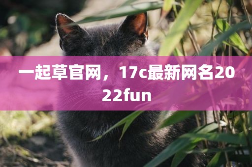 一起草官网，17c最新网名2022fun