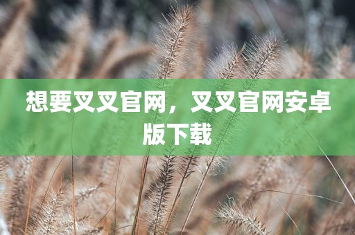 想要叉叉官网，叉叉官网安卓版下载