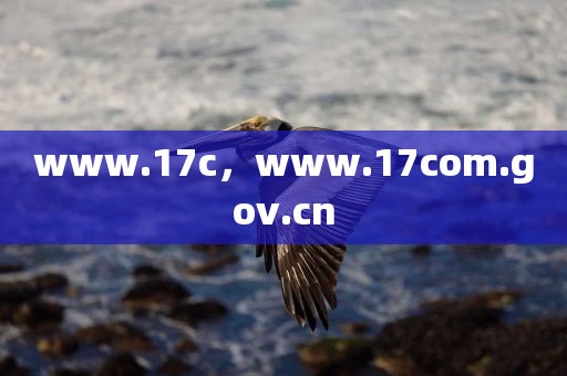 www.17c，www.17com.gov.cn