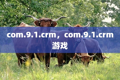 com.9.1.crm，com.9.1.crm游戏