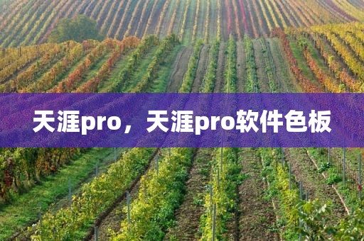 天涯pro，天涯pro软件色板