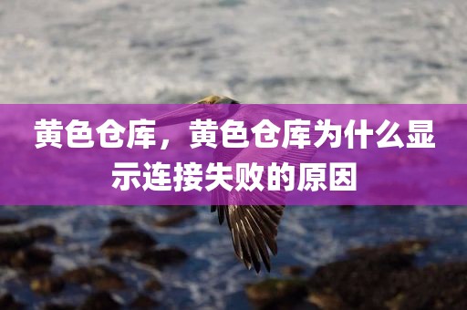 黄色仓库，黄色仓库为什么显示连接失败的原因