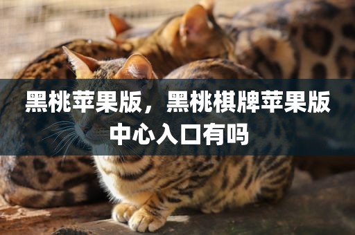 黑桃苹果版，黑桃棋牌苹果版中心入口有吗