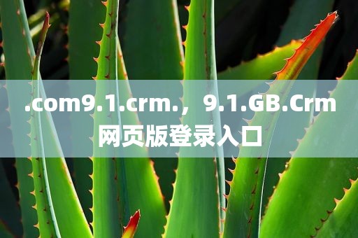 .com9.1.crm.，9.1.GB.Crm网页版登录入口