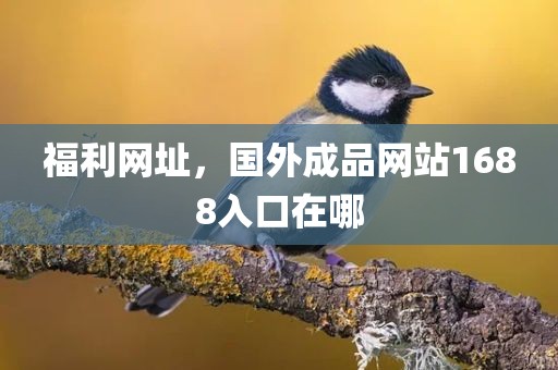 福利网址，国外成品网站1688入口在哪