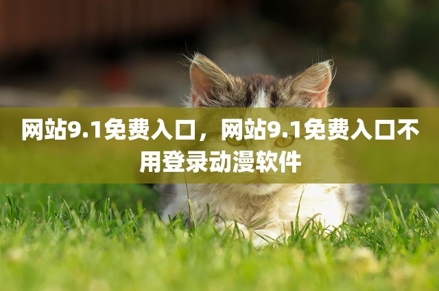 网站9.1免费入口，网站9.1免费入口不用登录动漫软件