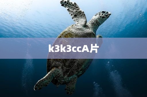 k3k3ccA片