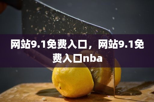 网站9.1免费入口，网站9.1免费入口nba