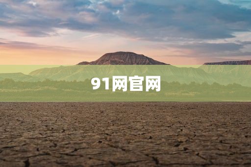 91网官网