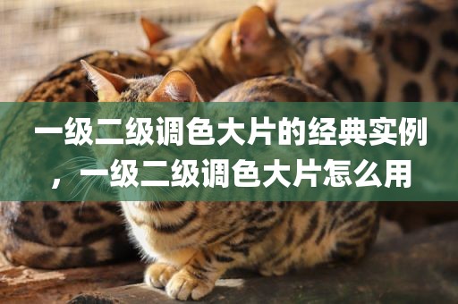 一级二级调色大片的经典实例，一级二级调色大片怎么用