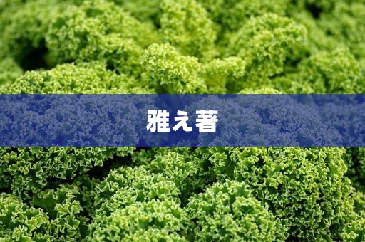 雅え著