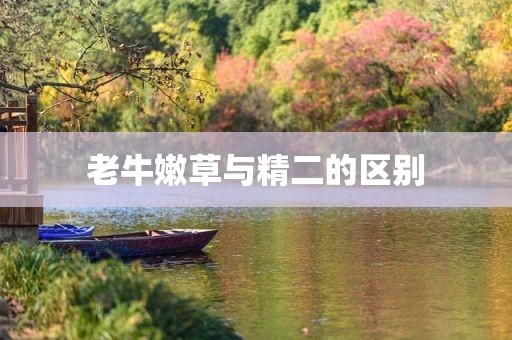 老牛嫩草与精二的区别