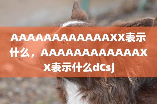 AAAAAAAAAAAAXX表示什么，AAAAAAAAAAAAXX表示什么dCsj