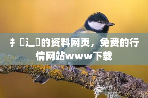 扌喿辶畐的资料网页，免费的行情网站www下载