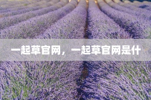 一起草官网，一起草官网是什