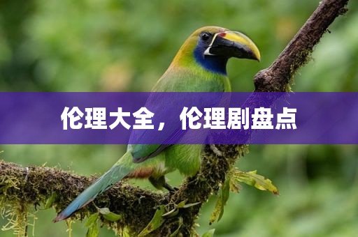 伦理大全，伦理剧盘点