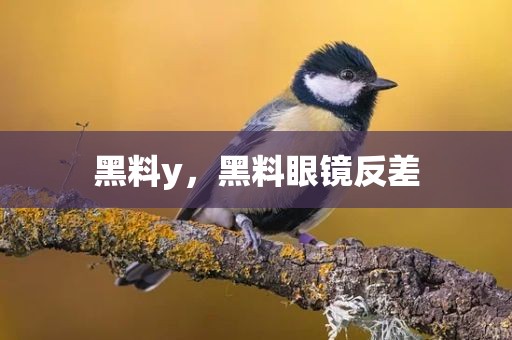 黑料y，黑料眼镜反差