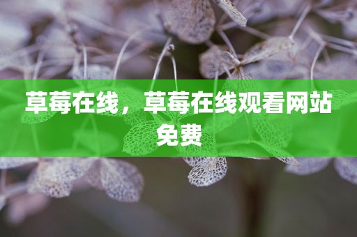 草莓在线，草莓在线观看网站免费