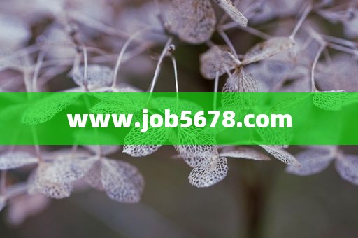 www.job5678.com