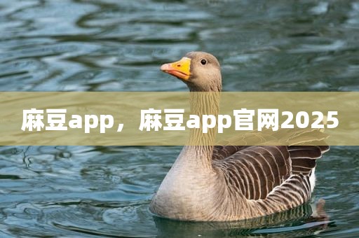 麻豆app，麻豆app官网2025