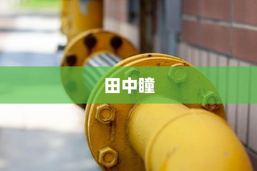 田中瞳