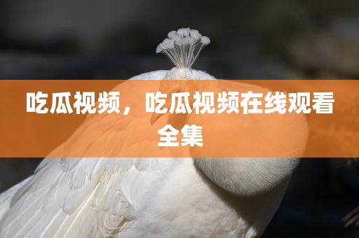 吃瓜视频，吃瓜视频在线观看全集