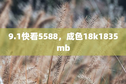 9.1快看5588，成色18k1835mb