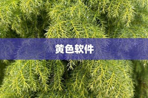 黄色软件