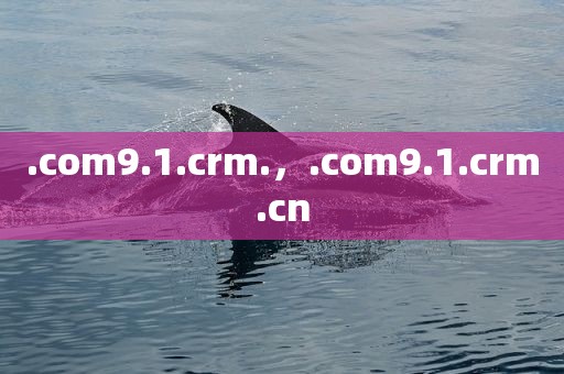 .com9.1.crm.，.com9.1.crm.cn