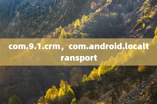 com.9.1.crm，com.android.localtransport