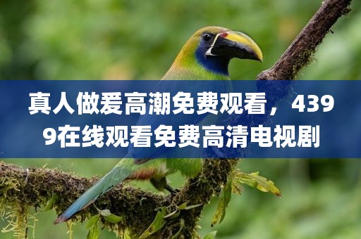 真人做爰高潮免费观看，4399在线观看免费高清电视剧