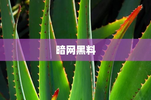 暗网黑料