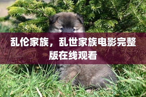 乱伦家族，乱世家族电影完整版在线观看