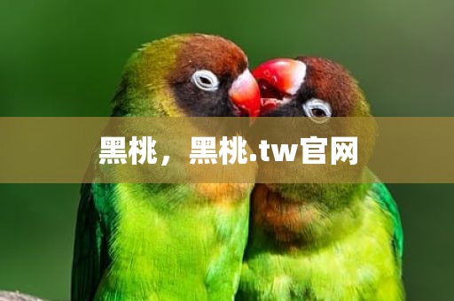 黑桃，黑桃.tw官网
