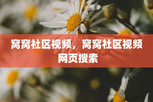 窝窝社区视频，窝窝社区视频 网页搜索