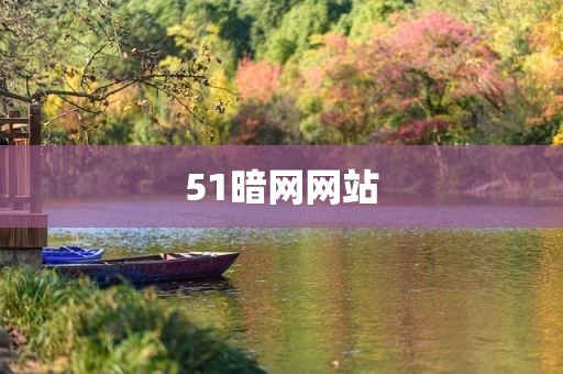 51暗网网站