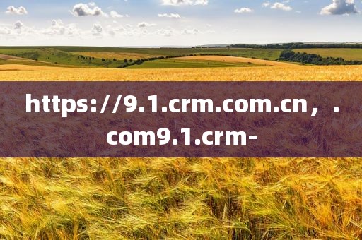 https://9.1.crm.com.cn，.com9.1.crm-