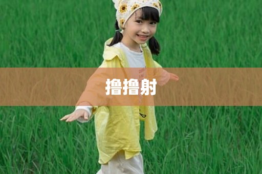 撸撸射