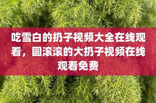 吃雪白的扔子视频大全在线观看，圆滚滚的大扔子视频在线观看免费