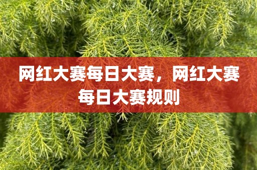 网红大赛每日大赛，网红大赛每日大赛规则