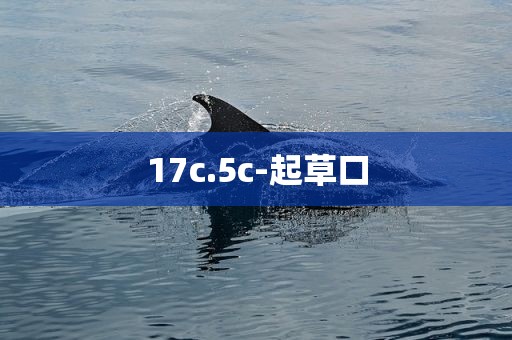 17c.5c-起草口