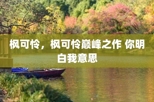 枫可怜，枫可怜巅峰之作 你明白我意思
