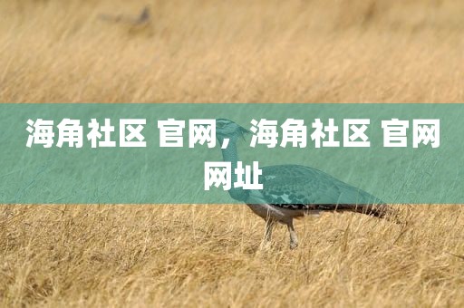 海角社区 官网，海角社区 官网网址