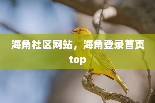海角社区网站，海角登录首页top