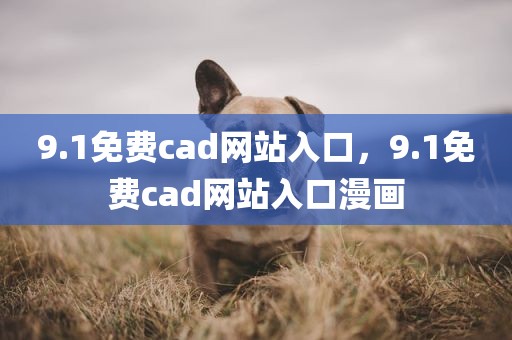 9.1免费cad网站入口，9.1免费cad网站入口漫画