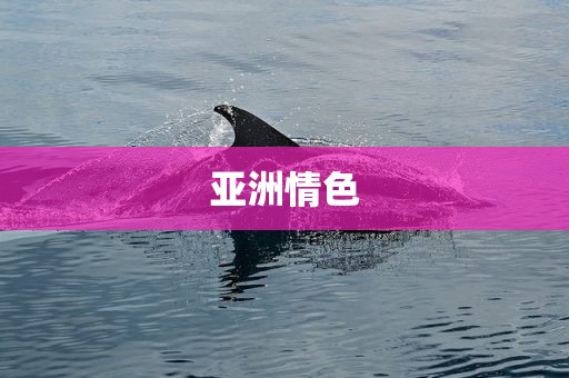 亚洲情色