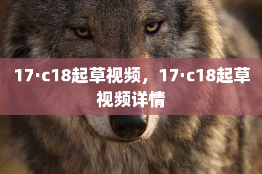 17·c18起草视频，17·c18起草视频详情