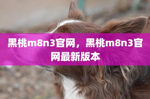 黑桃m8n3官网，黑桃m8n3官网最新版本