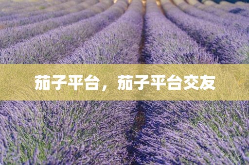 茄子平台，茄子平台交友