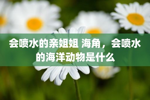 会喷水的亲姐姐 海角，会喷水的海洋动物是什么